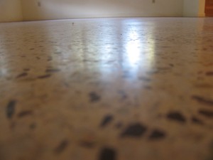 This photo is a before restoration terrazzo floor.